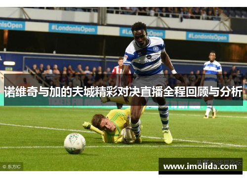 诺维奇与加的夫城精彩对决直播全程回顾与分析